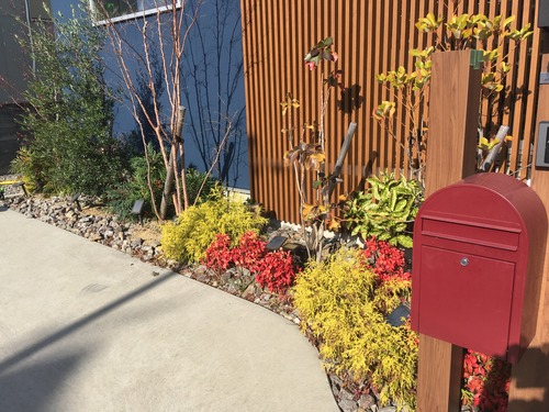 EA966B6A-980D-4909-AB25-7C1FAEC4B1CA