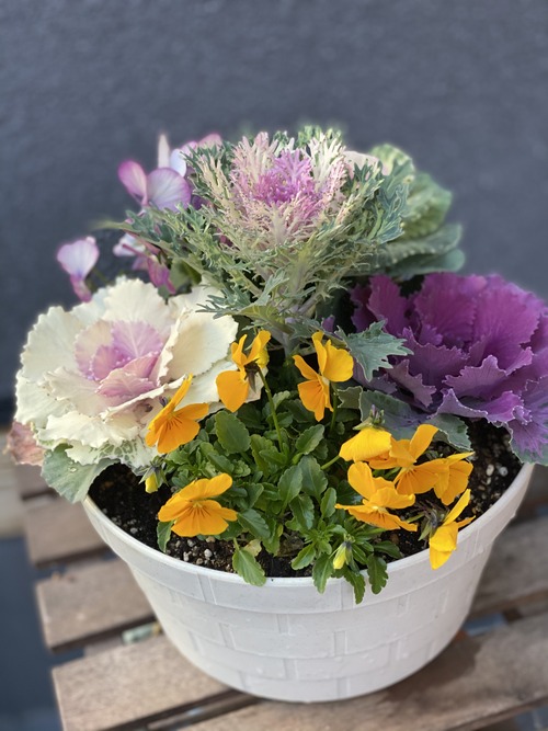 355FA702-CDB4-423C-A6A2-FCF6C721C883