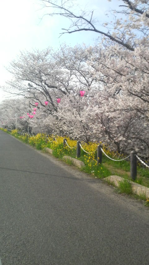 img20080406.jpg
