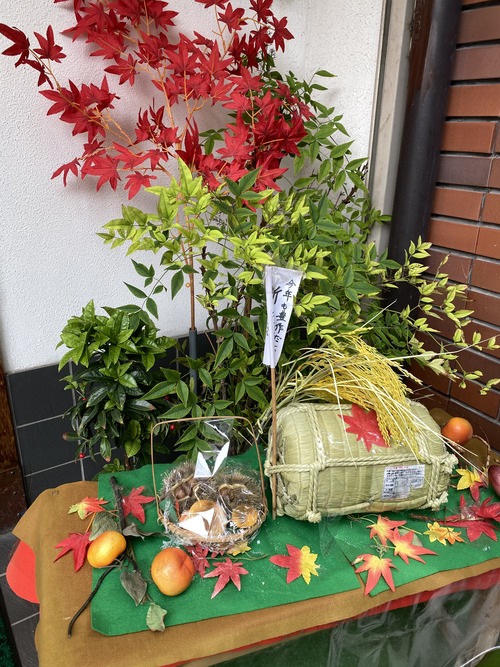 BA6B0D29-966C-48FD-9F8E-676F19082B53