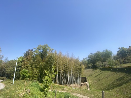 928583C5-5E98-45C6-8FFC-C45FD65B37A5