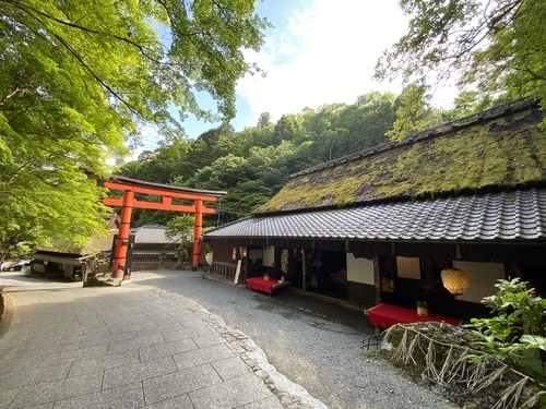 C51EE160-4E11-4028-AC55-090D9425F7AD