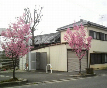 p1000185.jpg