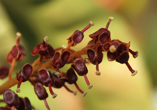 11年02月21日 Fukko Photo