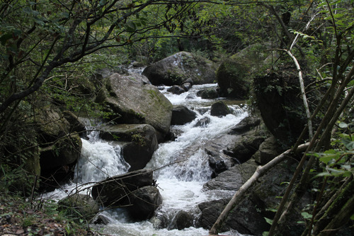 鳥原川