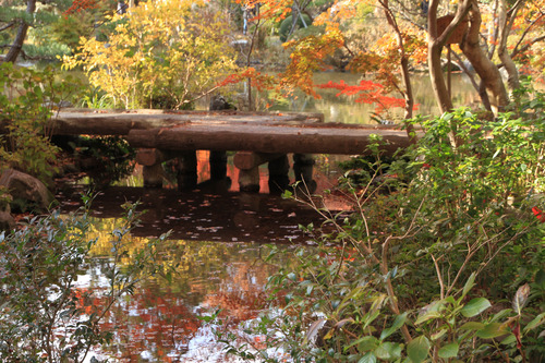 東山紅葉６