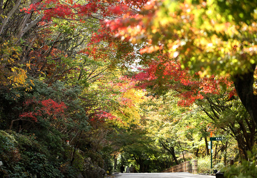 東山８