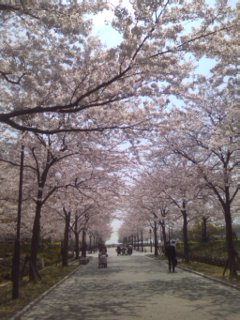 img20090408.jpg