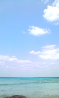 img20090430.jpg