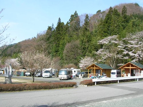 fac704152.jpg