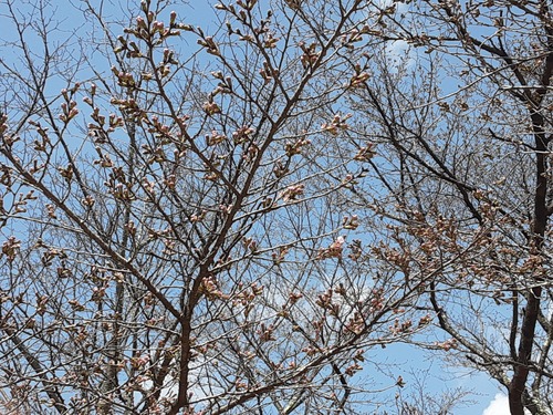 20260329_100358[1]