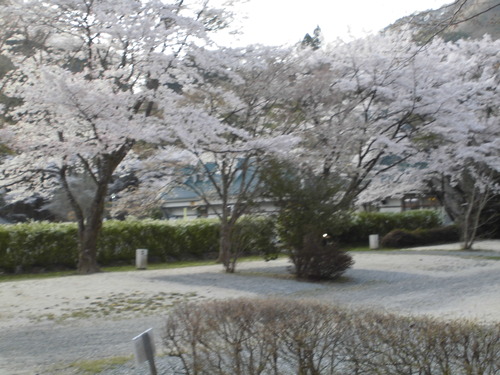 CIMG6773