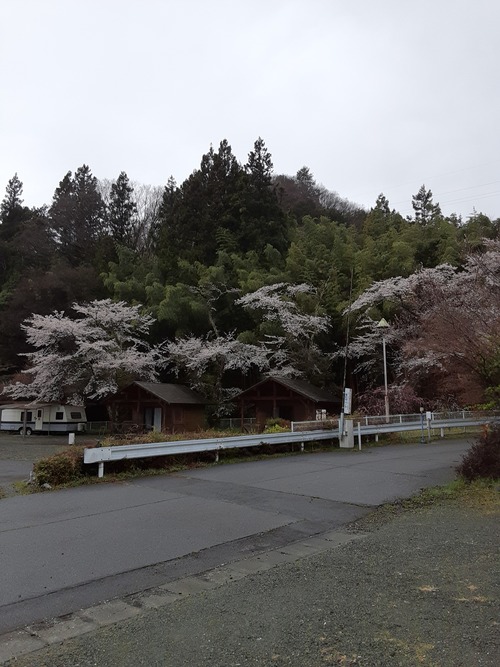 20250414_075436[1]