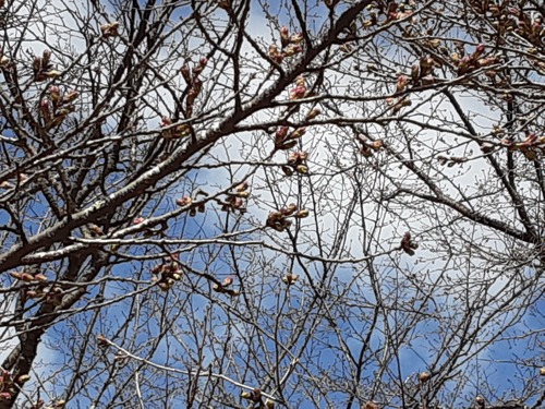 20260327_090357[1]