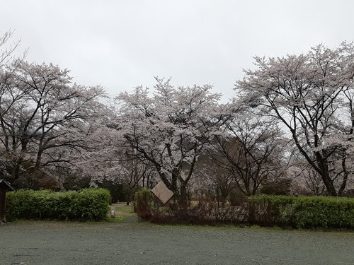20250414_075528[1]