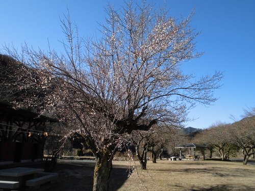 CIMG7246