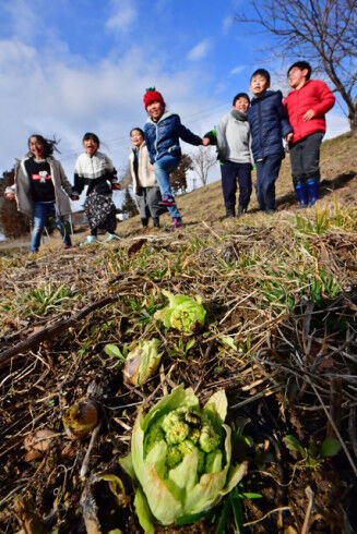 04b69588qm02AGDznQ00BGNzMw1wo250LJyhWy89AJH1BQMvMwR