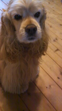 img20100212.jpg