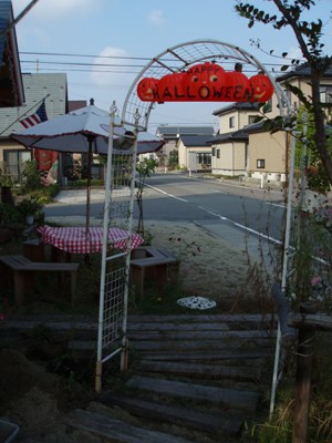 n81021-12.jpg