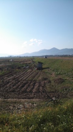 img20091125.jpg