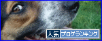 br_decobanner_20090907220812