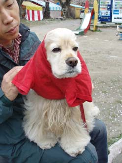 n80420-5.jpg