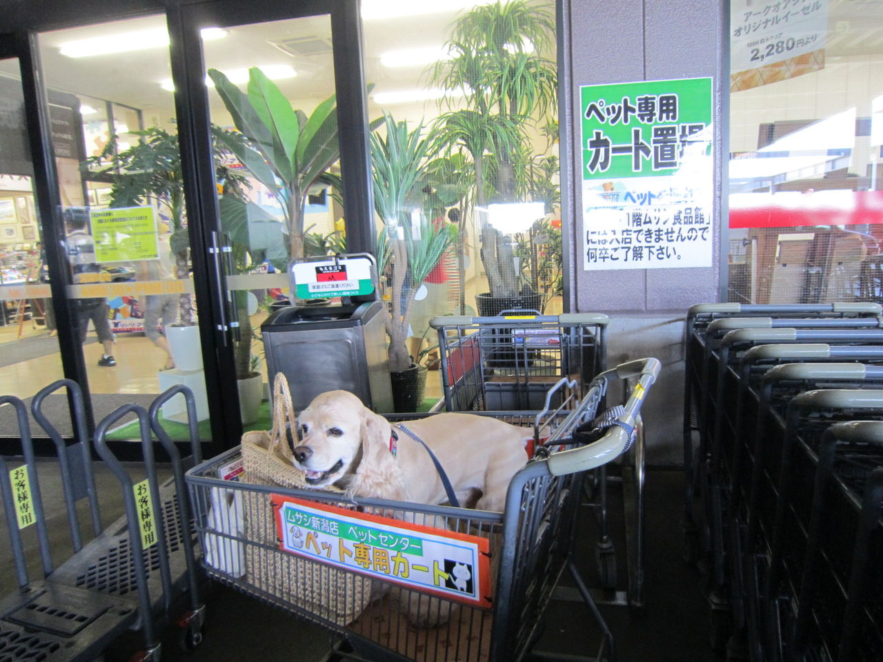 新潟市 万代橋サンセットカフェ 食いしん坊な雑貨屋の日記 新潟市 万代橋サンセットカフェ 食いしん坊な雑貨屋の日記