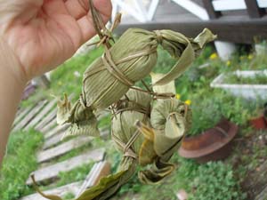 n60508-1.jpg
