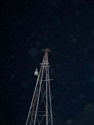 821-32.jpg