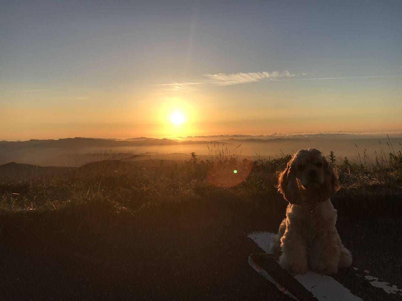 月山八合目の夕焼けと星空 食いしん坊な雑貨屋の日記 月山八合目の夕焼けと星空 食いしん坊な雑貨屋の日記
