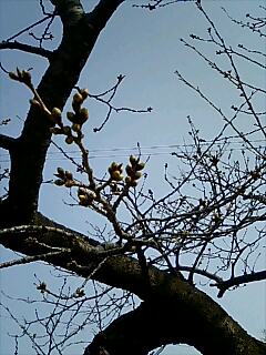 img20060328.jpg