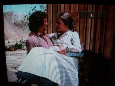 ヴァイオリンもキルトも ムクムク犬も 食いしん坊な雑貨屋の日記