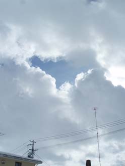 n80125-2.jpg
