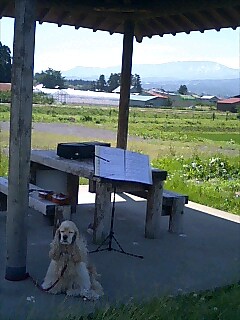 img20070625.jpg