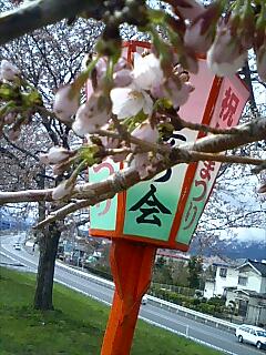 img20060421.jpg