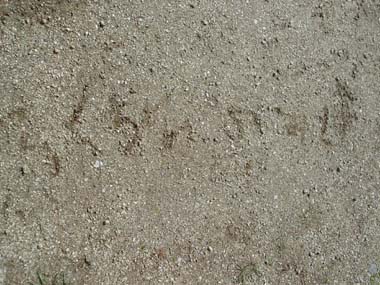 n80402-2.jpg