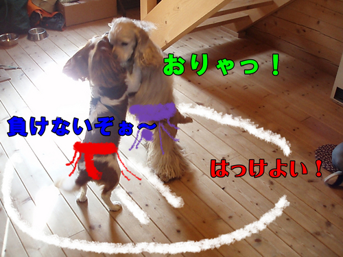 BlogPaint