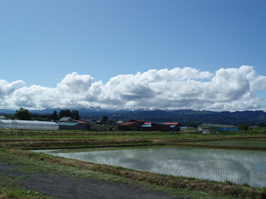 n70528-2.jpg