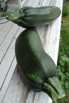 n70623-14.jpg