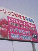 050430_1133%7E01.jpg