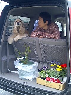 img20080329_1.jpg