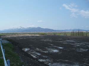 n60428-3.jpg