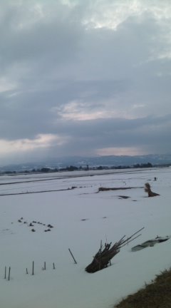 img20100120.jpg