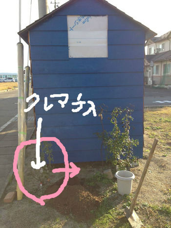BlogPaint