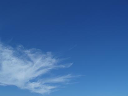 1025-9.jpg
