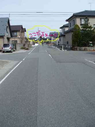 0211-4.jpg