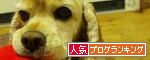 br_decobanner_20090922142242