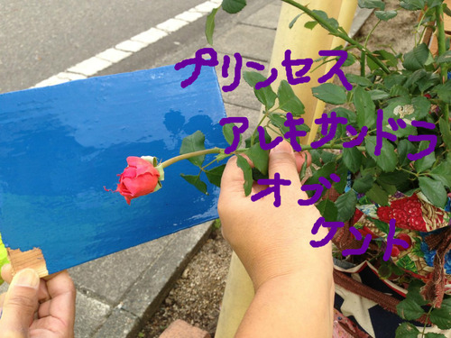 BlogPaint