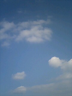 img20081018.jpg