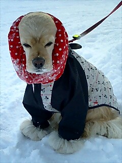060123_0853%7E0002.jpg